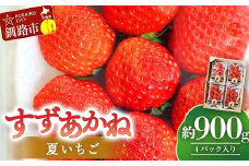 すずあかね(M～L) 約900g(4パック入り)夏いちご イチゴ 夏イチゴ 果物 苺 いちご 夏 スィーツ ケーキ フルーツ 北海道 F4F-4623