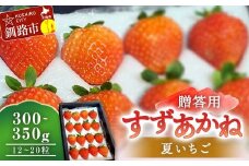 贈答用 すずあかね300～350g(12～20粒) 夏いちご イチゴ 夏イチゴ 果物 苺 いちご 夏 スィーツ ケーキ フルーツ 北海道 贈答用 F4F-4186
