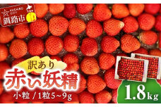 5月から順次発送!【 訳あり 】赤い妖精 1.8kg(小粒 1粒5～9g) 夏いちご 規格外にて訳あり イチゴ 夏イチゴ 果物 苺 いちご 夏 スィーツ ケーキ フルーツ 北海道 規格外 F4F-4624