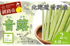 【6月中に順次発送】音蕗(おんぶき) 2kg 無農薬 蕗 フキ ふき 煮しめ 和食 おかず ご飯のお供 音別産生蕗 北海道産 北海道 F4F-4562