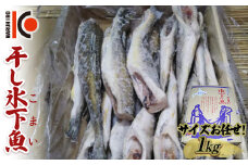 干し氷下魚(サイズお任せ)1kg こまい コマイ 魚 白身魚 おつまみ 肴 おかず F4F-5165