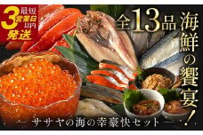 ★レビューキャンペーン実施中！★ まるごと堪能！ササヤの『海の幸豪快セット』 全１３品 海の幸 いくら たらこ 明太子 鮭 ほっけ かれい いかの塩辛 さば 銀だら さんま F4F-5787