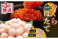 ★レビューキャンペーン実施中！★ 12月発送 笹谷商店 いくら醤油漬け1kg＆ほたて貝柱2kg F4F-7911