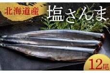 極上塩さんま12尾 3尾ごとの真空保存 さんま 焼き魚 魚 海鮮 鮮魚 北海道 ご当地グルメ 漬け魚 F4F-8104