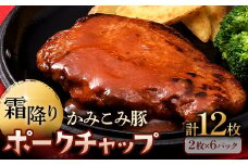 通常発送 かみこみ豚のポークチャップ 200g×2枚×6パック 計12枚 合計 2.4kg 豚肉 豚丼 北海道  真空 豚 ポーク F4F-2363