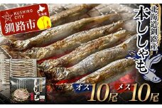 本ししゃも オス10尾・メス10尾 釧路産 本ししゃも 魚 ししゃも 魚好きのオス プチプチたまごのメス 魚介 グルメ シシャモ 北海道産 国産 魚 魚介 海の幸 F4F-8433