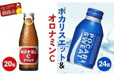 オロナミンC20本×ポカリスエット24缶セット 小分け 北海道 オロナミン 常温 備蓄 ふるさと納税 炭酸飲料 飲料 F4F-8488