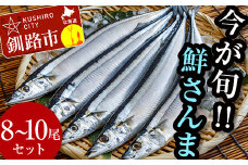 今が旬!!（鮮度抜群!!釧路産） 鮮さんま 8～10尾 さんま 秋刀魚 サンマ 新鮮 魚 鮮魚 海産物 旬 産地直送 北海道 釧路 F4F-0606