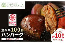 ＜のし付＞豊西牛 100%ハンバーグ 10枚入 ギフト 贈答用 (トヨニシソース付)【1144340】