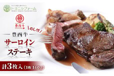 ＜のし付＞豊西牛サーロインステーキ 3枚入 計480g ギフト 贈答用 トヨニシソース付【1144345】