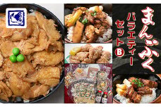 ＜鶏の伊藤＞まんぷくバラエティーセット B (鶏めし丼 5人前 焼き鳥丼 角煮丼 ザンギ など)【1146931】