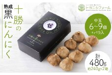 黒にんにく レギュラー (中玉6～9個+バラ入) ×2箱 計480g【1205011】