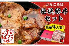 豚丼のぶたはげ「極撰豚丼セット4人前」_ 肉 豚肉 豚丼 セット ぶた丼 豚 ぶた ロース ロース肉 豚ロース スライス 真空パック 国産豚 たれ タレ 丼 おかず 惣菜 お弁当 北海道 帯広 ギフト プレゼント 冷凍 送料無料 【1205703】