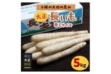 大正長いも5kg【1205760】