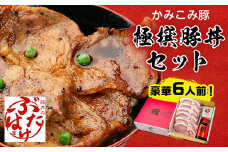 豚丼のぶたはげ「極撰豚丼セット6人前」_ 豚丼 ぶたどん 北海道 帯広 ぶたはげ 人気 おすすめ 送料無料 贈答 ギフト プレゼント かみこみ豚 網焼き 名物 有名 【1205705】