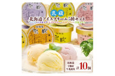 乳蔵北海道アイスクリーム5種セット(計10個)(110130)【1206078】