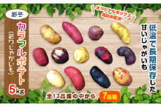 ＜十勝ガールズ農場＞直送!越冬「カラフルポテト(彩りじゃがいも)」いろいろ試せる「7種」約5kg!【1278030】