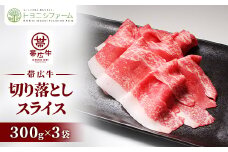 帯広牛 切り落とし スライス 900g (300g×3袋)【1284796】