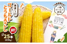 先行受付＜十勝ガールズ農場＞訳あり 直送 朝もぎつぶつぶ「あま～いゴールドとうもろこし」25本【1462031】