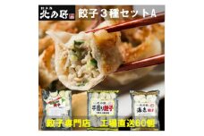 「餃子専門店工場直送60個入り」餃子屋北の匠3種セットA(手作り餃子・海老餃子・行者にんにく餃子)【1484467】