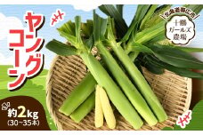 先行受付＜十勝ガールズ農場＞直送 ヤングコーン箱詰め 約2kg(30～35本)【1490692】