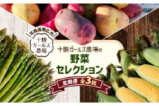 ＜発送月固定定期便＞直送!＜北海道の定番便＞十勝ガールズ農場の野菜セレクション全3回【4012917】