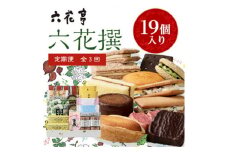 ＜毎月定期便＞六花亭・六花撰 19個入全3回【4011967】