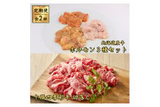 ＜毎月定期便＞十勝四季彩牛　切落し1kg&北海道産牛ホルモン3種1.2kg 全2回【4012925】