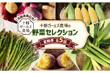 ＜発送月固定定期便＞直送!＜北海道を満喫便＞十勝ガールズ農場の野菜セレクション全5回【4012918】