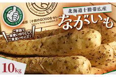 北海道十勝帯広産 ながいも 10kg【1497185】