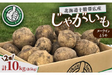 北海道十勝帯広産 じゃがいも 2種10kg(メークイン とうや )【1497186】