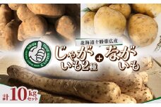  じゃがいも2種+ながいも 計10kgセット　北海道十勝帯広産【1497187】