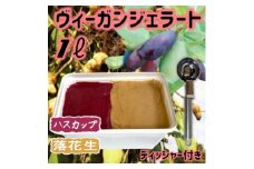 北海道産ヴィーガンジェラート落花生+ハスカップ2色1Lディッシャー付き【1490074】