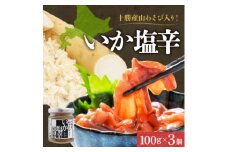 十勝 山わさび入り イカの塩辛 100g 3個 ご飯のおとも 北海道 帯広市【1495672】
