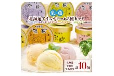 ＜2ヵ月毎定期便＞「乳蔵」北海道アイスクリーム5種10個〈110130〉全3回【4013520】
