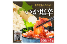 十勝 山わさび入り イカの塩辛 100g×4個 ご飯のおとも 北海道 帯広市【1513910】