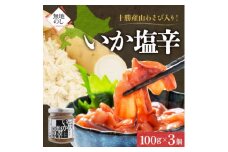 熨斗 十勝 山わさび入り イカの塩辛 100g×3個 ご飯のおとも 北海道 帯広市【1514082】