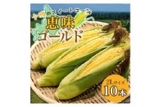 ＜2025年 先行受付＞十勝 恵味ゴールド 10本 2Lサイズ 甘いスイートコーン 北海道 帯広市【1499657】