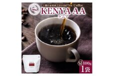 コーヒー豆 ケニア 100g 1袋 鮮度を高めたスペシャリティコーヒー 北海道 帯広市【1503293】