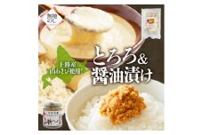 熨斗 十勝 山わさび入り ごはんのおとも 2種セット とろろ&醤油漬け 各2個 北海道 帯広市【1521622】