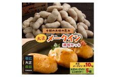＜期間限定＞大正メークイン満喫セット　大正メークイン約10kg+大正メークインじゃがバター5個入【1328072】