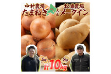 十勝 玉ねぎ 5kg メークイン じゃがいも 5kg 計10kg 農家さんのお野菜 北海道 帯広市【1514129】