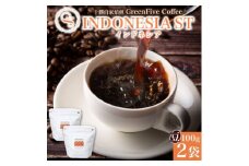 コーヒー豆 インドネシア 100g 2袋 鮮度を高めたスペシャルティコーヒー 北海道 帯広市【1536980】