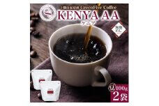 熨斗 コーヒー豆 ケニア 100g 2袋 鮮度を高めたスペシャルティコーヒー 北海道 帯広市【1555303】
