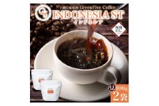熨斗 コーヒー豆 インドネシア 100g 2袋 鮮度を高めたスペシャルティコーヒー 北海道 帯広市【1555305】
