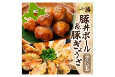十勝 豚丼ボール&ぎょうざセット(各1パック)秘伝のタレ付き 北海道産豚肉使用 北海道 帯広市【1555429】