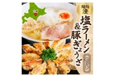 麺処 澄 塩ラーメン&ぎょうざ(各1パック)透明スープ 北海道産豚肉使用 北海道 帯広市【1555480】