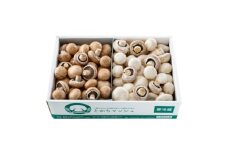 とかちマッシュ ホワイト・ブラウンMIX1.5kg【1501669】