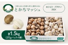 とかちマッシュ ホワイト・ブラウンMIX1.5kg【1501669】