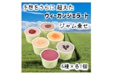 北海道産ヴィーガンジェラート　ジャム乗せ　6個セット【1553683】